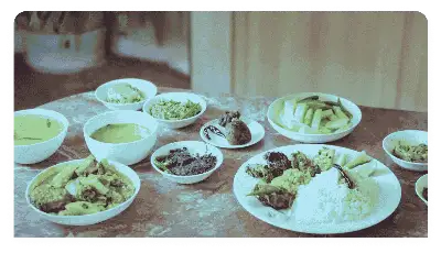 Pre-designed Daily Meals