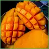 Mango Mania